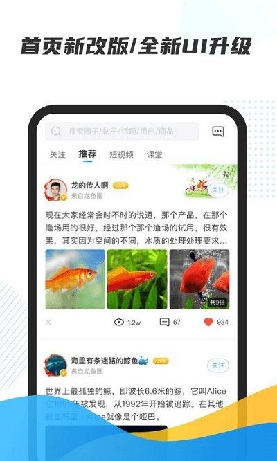 龙巅鱼邻最新版本下载,龙巅鱼邻,养鱼app,社区app